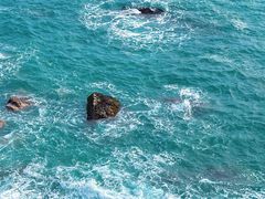 -广东惠东海龟国家级自然保护区