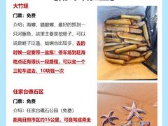 -巧克力渔家.小船海鲜胶东菜(万平口店)