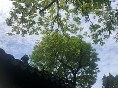 -拙政园