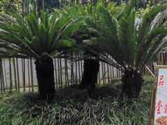 -宝光寺
