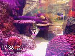 -沈阳海洋探索中心