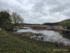-同里国家湿地公园