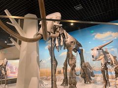 -国家自然博物馆