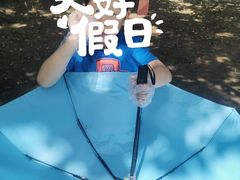 -御林古桑园