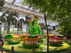 -南宫五洲植物乐园