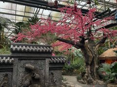 -世外桃源农庄·德清土菜(兴康南路店)
