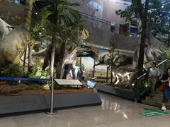 -湖南省地质博物馆