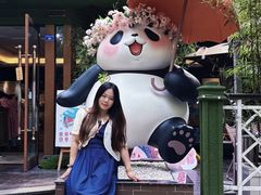 -轩客会(熊猫书店)