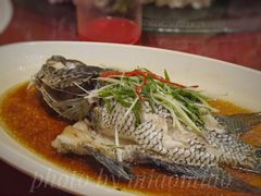 -都市阳光海鲜城(青山湖店)