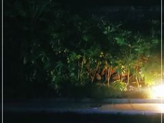 -大盘山温泉山庄