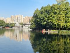 -荔湾湖公园
