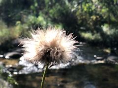 -碓臼峪自然风景区