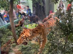 -国家自然博物馆