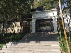 -上海佘山国家森林公园西佘山园