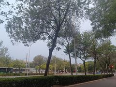 -元大都城垣遗址公园