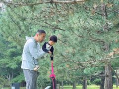 -国家植物园南园