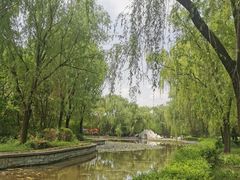 -洛阳市隋唐城遗址植物园