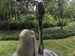 -陈家山荷花公园