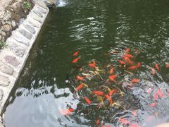 -红螺寺