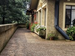 -寂照庵