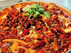 精品毛血旺-陈麻婆豆腐(旗舰店)