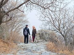 -阳台山自然风景区