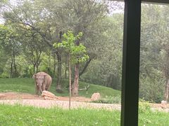 -北京野生动物园