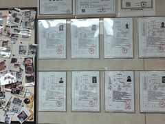-半岛宠物医院24小时(白果林店)