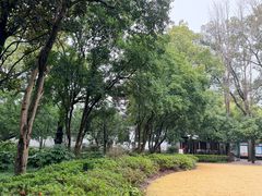 -汇龙潭