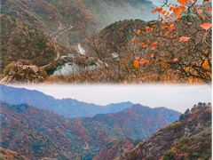 -秦岭终南山世界地质公园翠华山景区