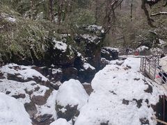 -龙苍沟森林公园