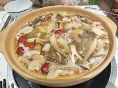-菌小白火锅(时尚天河店)