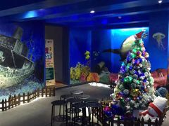 -船奇蒸汽海鲜·闽菜(八市海鲜总店)