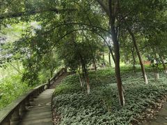 -忠山公园