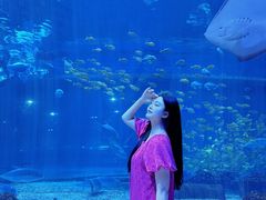 -华夏文旅海洋公园