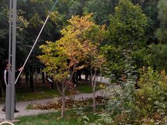 -大兴滨河森林公园