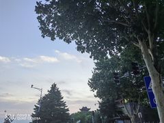 -汴河街