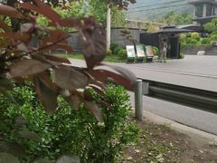 -遇见小院—虹鳟鱼•农家菜(怀柔店)