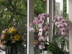 -蝶舍·MAISON PAPILLON