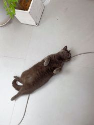 -熙.Hair 丨专注女子中长发丨