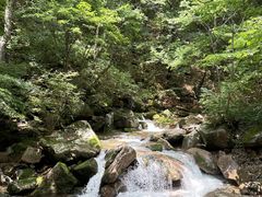 -本溪汤沟绿石谷森林公园
