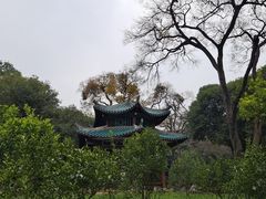 -柳侯公园