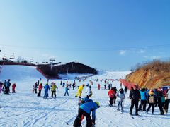 -北京园博大酒店