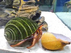 -太平洋海底世界