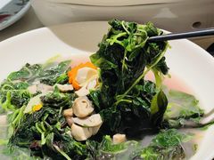上汤米苋-维园悦谱·海派家常菜(乌鲁木齐南路店)