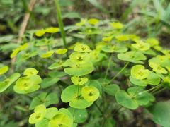 -碓臼峪自然风景区