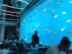 -瑞德姆美人鱼海底演艺主题餐厅(亚龙湾店)