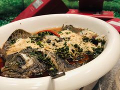 鲜花椒多宝鱼-尚都餐饮