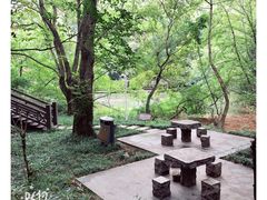 -白马涧龙池景区