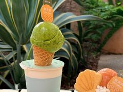 -苏小糖(鼓浪屿三丘田花园店)